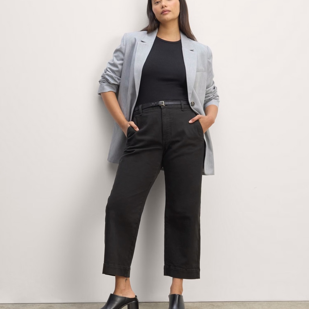 Everlane The Utility Straight Leg Pant